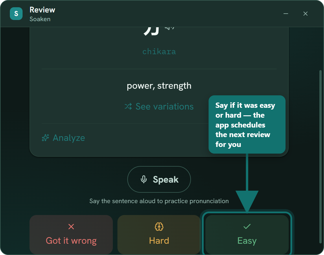Botões Errei, Difícil e Fácil abaixo da resposta do flashcard